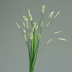 Clearance Kunstpflanze Bärenfellgras Pflanzen