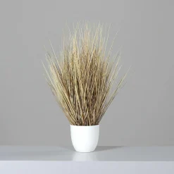 New Kunstpflanze CALIFORNIA GRAS Pflanzen