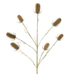 Outlet Kunstpflanze DISTEL Pflanzen