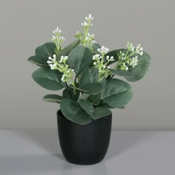 Sale Kunstpflanze EUCALYPTHUS Pflanzen