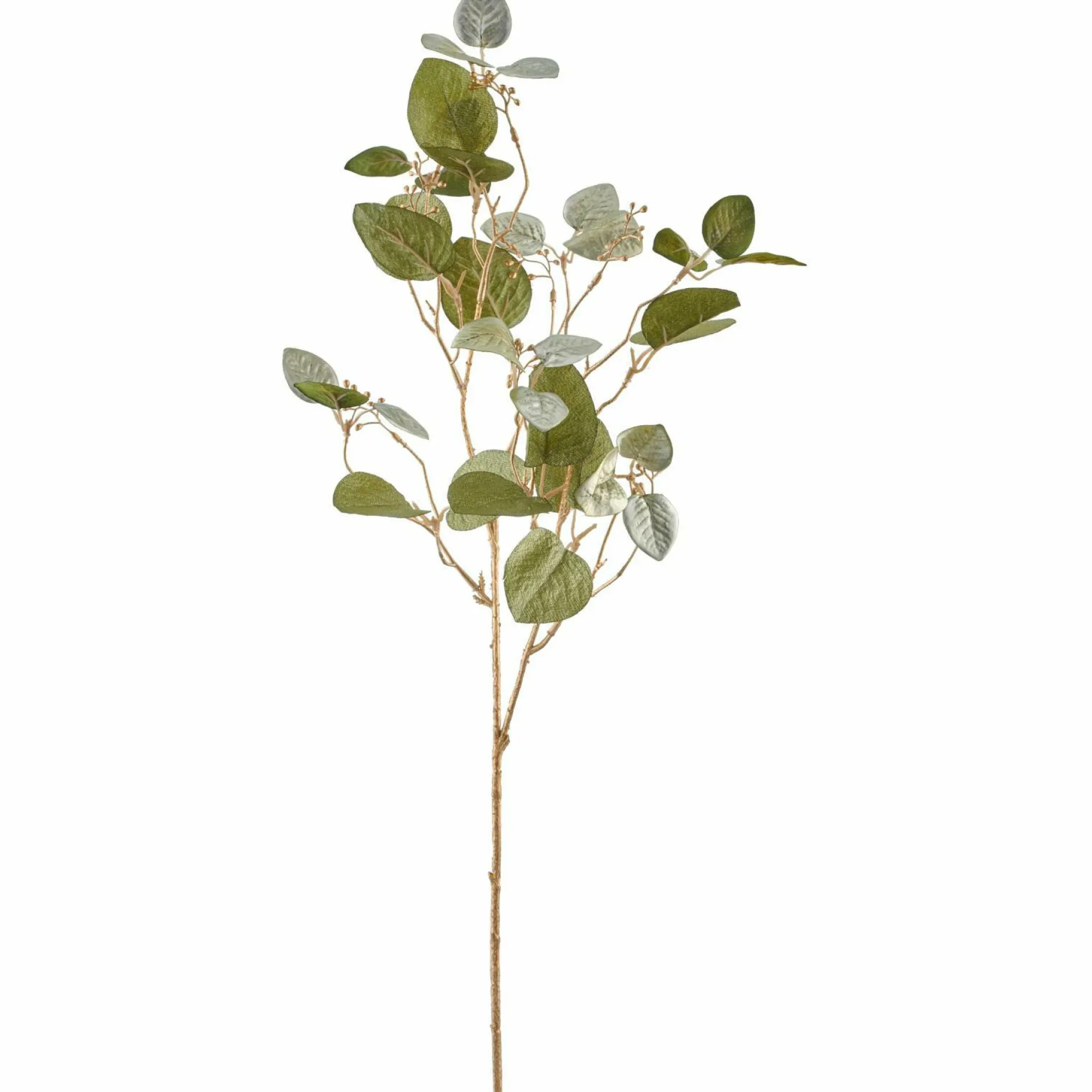 Online Kunstpflanze Eukalyptuszweig Black Forest