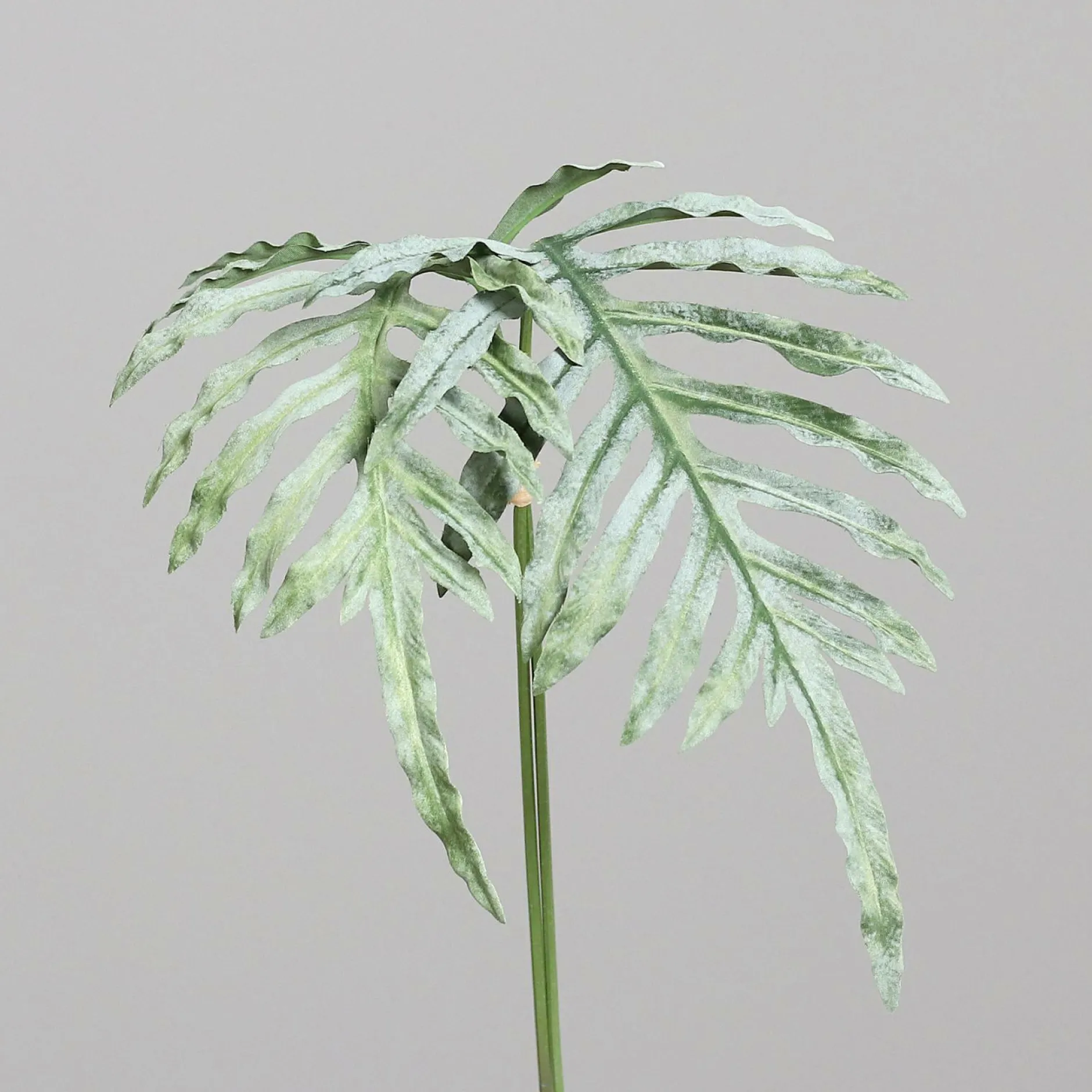 Clearance Kunstpflanze FARNZWEIG Pflanzen