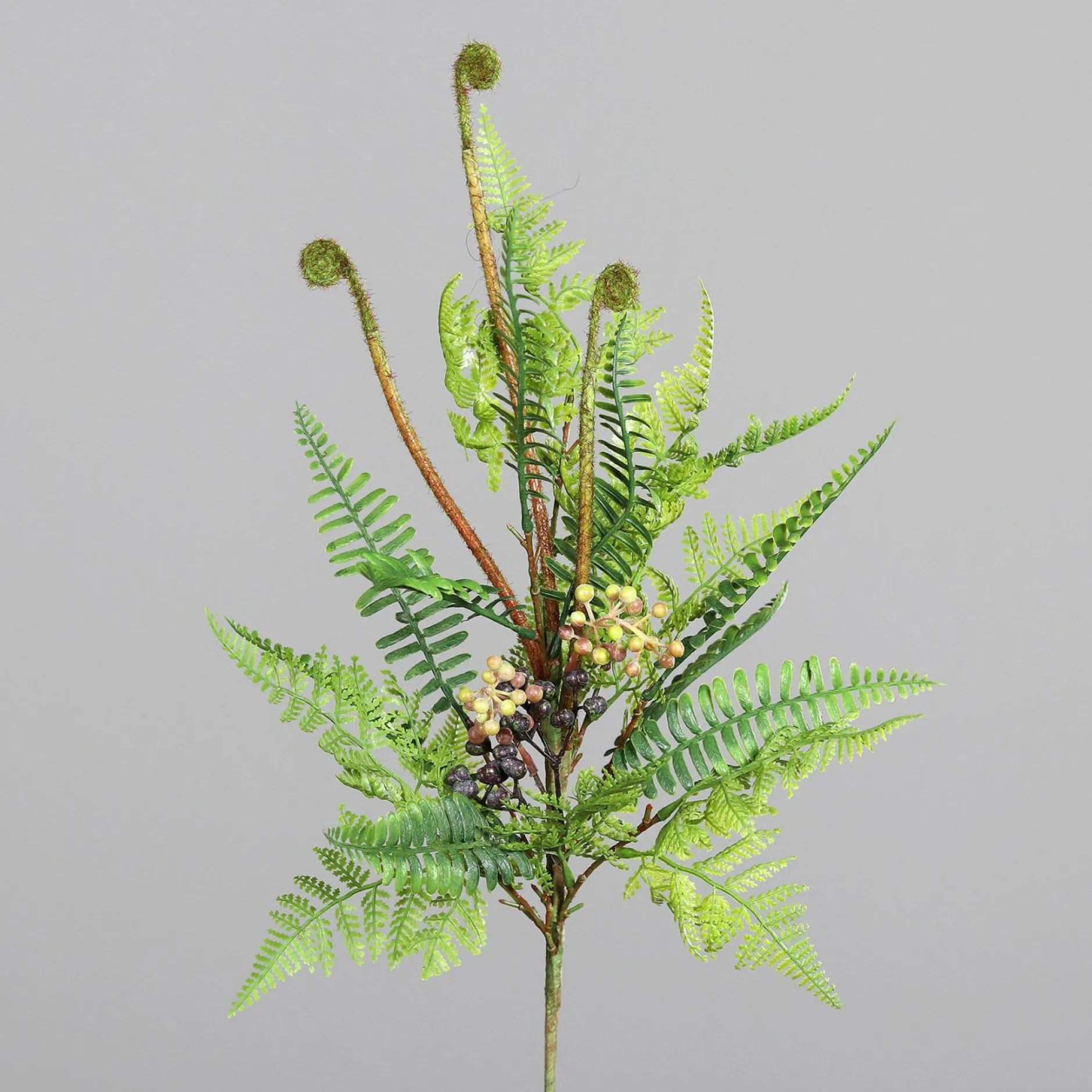 Sale Kunstpflanze Farnzweig Pflanzen
