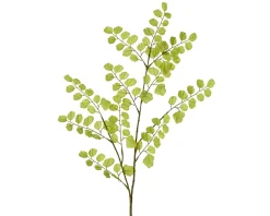 Sale Kunstpflanze GINGKO Pflanzen