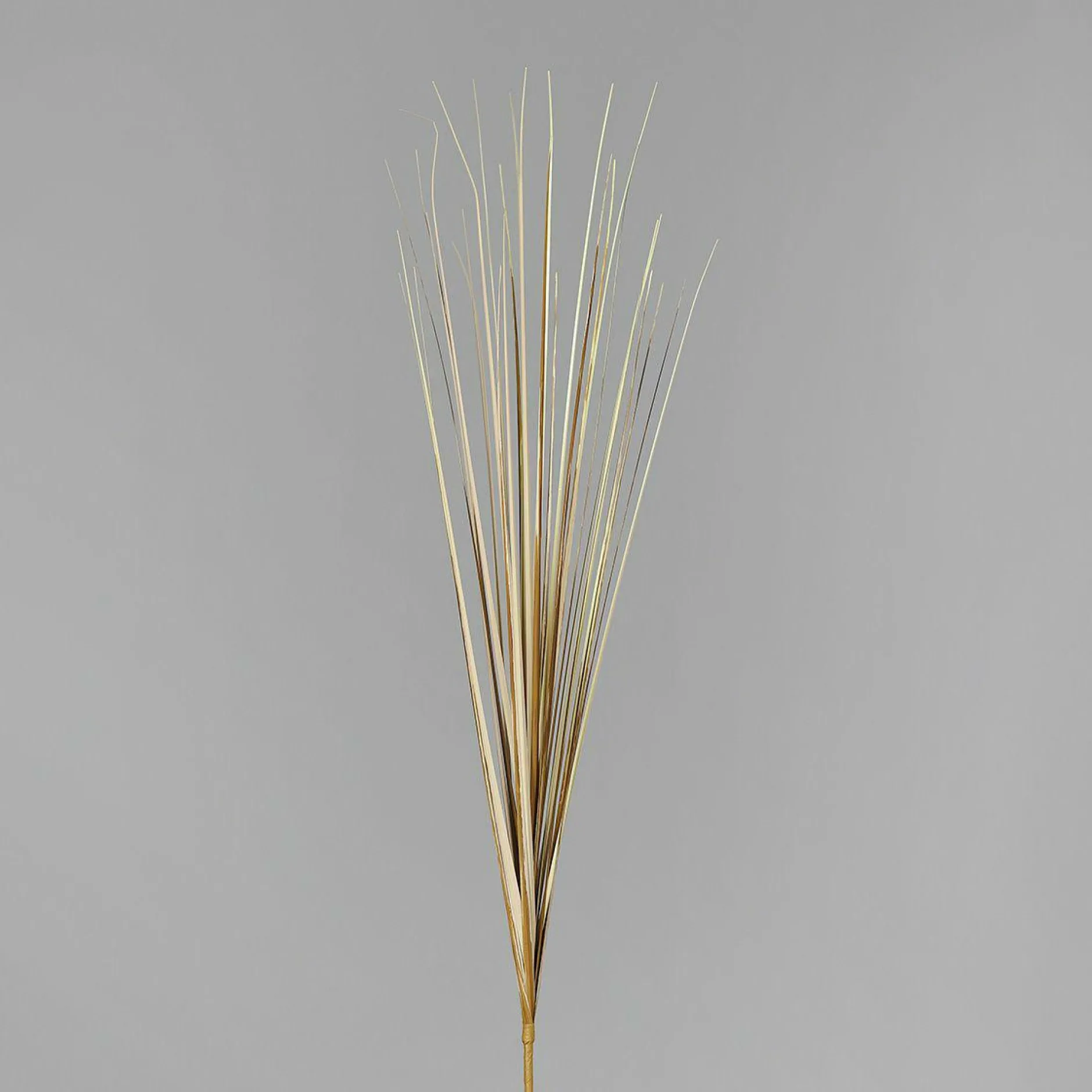 New Kunstpflanze Isolepsis Pflanzen