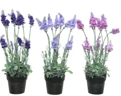 Discount Kunstpflanze LAVENDEL Pflanzen