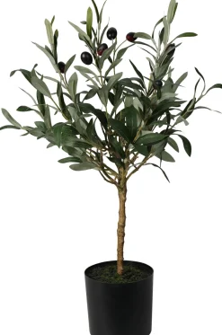 Best Kunstpflanze Olivenbaum Pflanzen