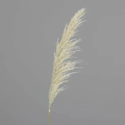 Discount Kunstpflanze PAMPASGRAS Pflanzen