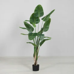 Kunstpflanze Strelitzie Pflanzen