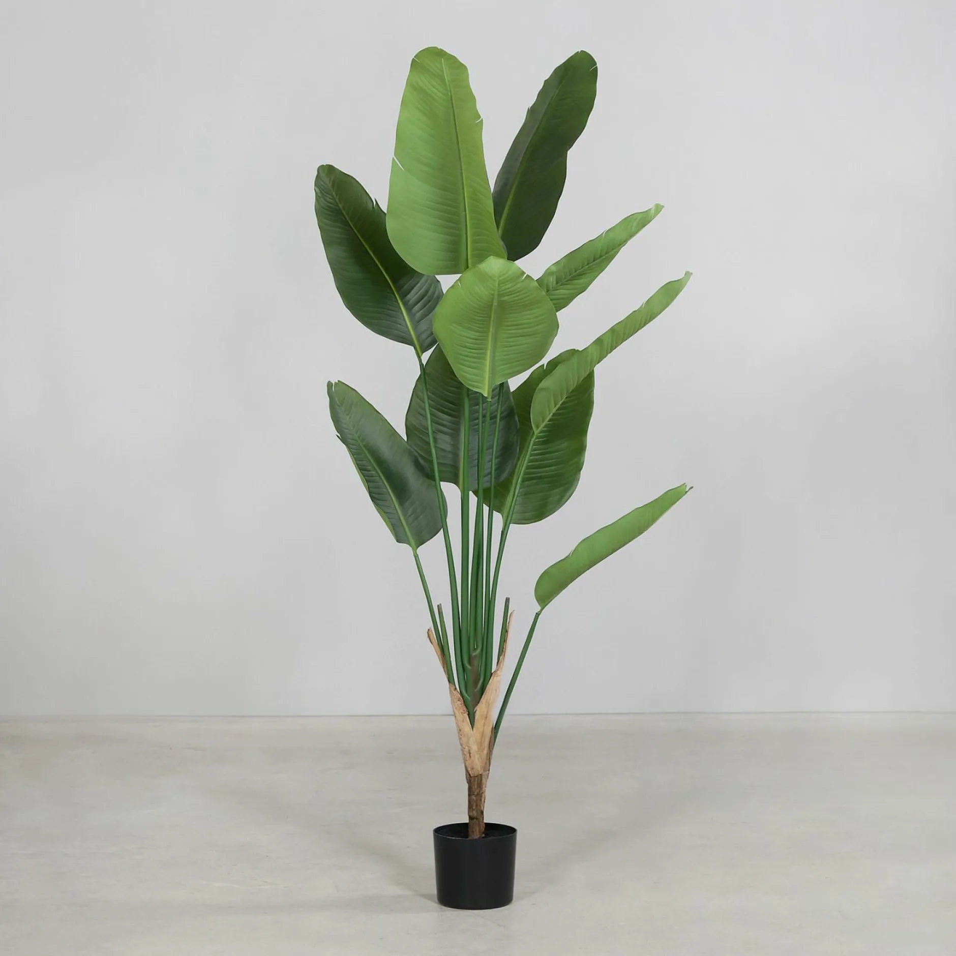 Discount Kunstpflanze Strelitzie Pflanzen