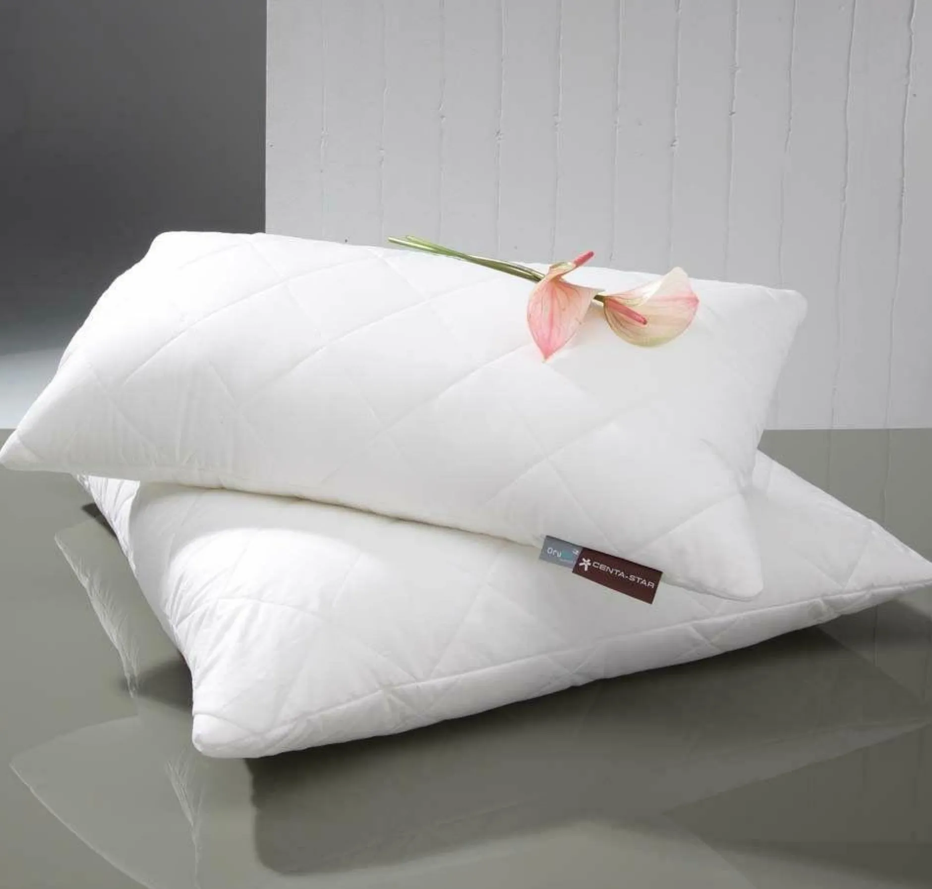 Clearance Kuschelkissen FAMOUS Kopfkissen|Kissen