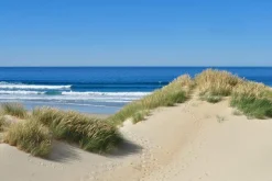 Hot Leinwandbild DÜNEN AM MEER I Kunstdrucke|Originalbilder