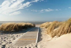 Leinwandbild HOLZWEG ZUM MEER Kunstdrucke|Originalbilder