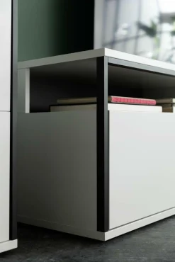 Best Lowboard MORI Lowboards|Lowboards