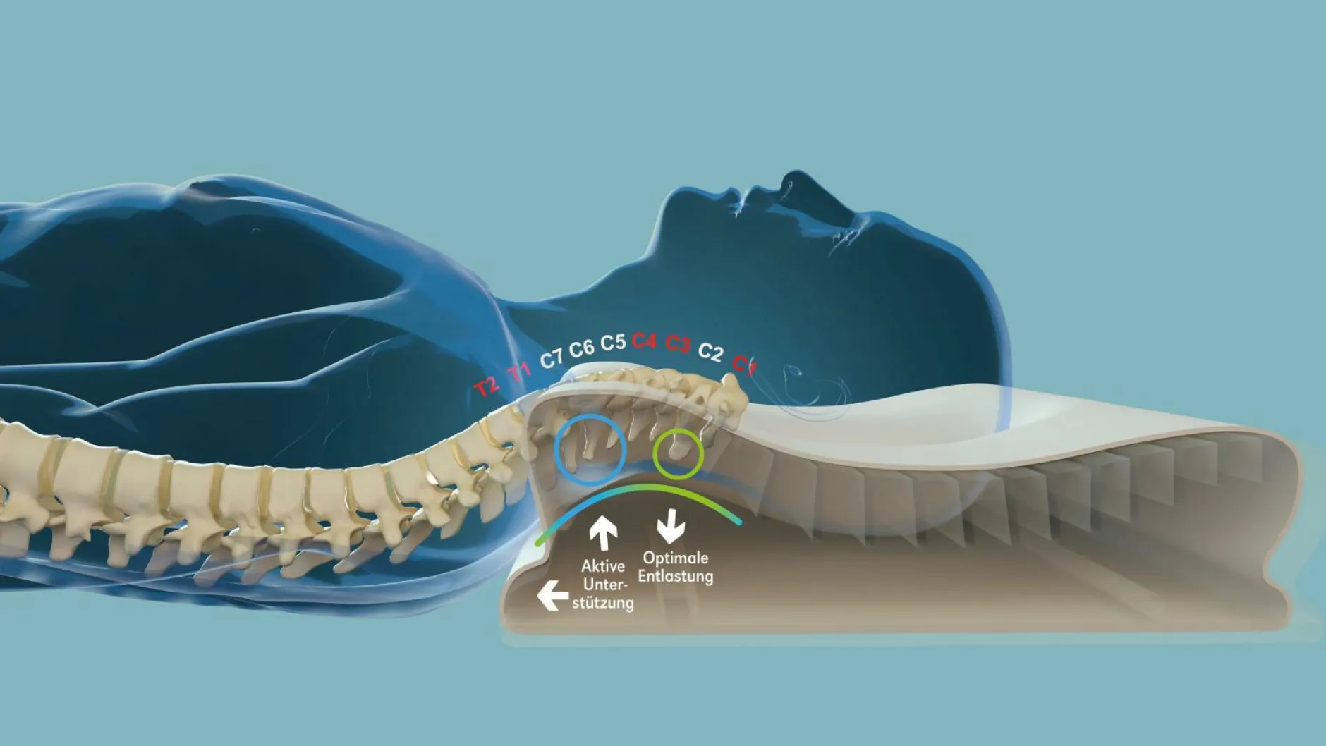 New Nackenstützkissen NECKPROTECT Nackenstützkissen|Kissen