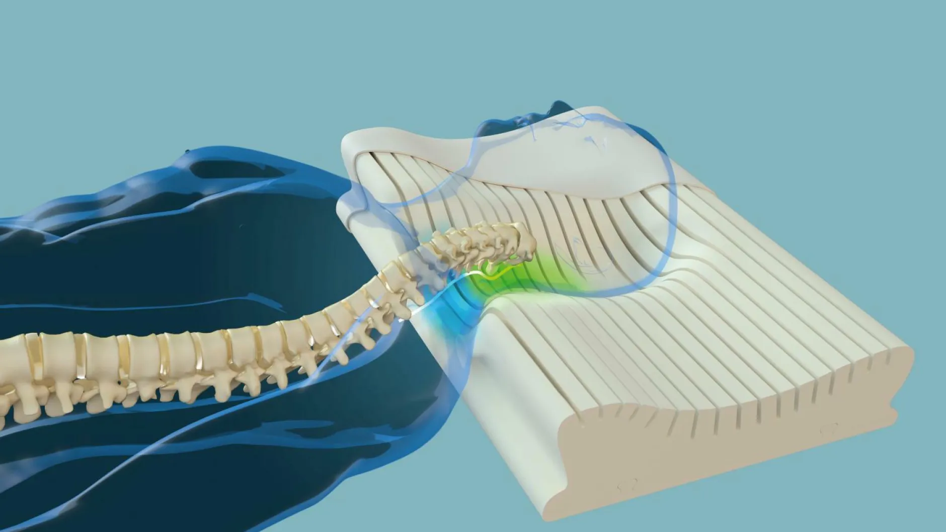 New Nackenstützkissen NECKPROTECT Nackenstützkissen|Kissen