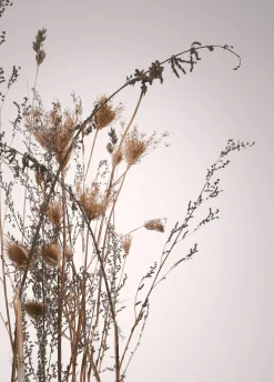 Sale Poster 1617 Poster & Drucke|Kunstdrucke