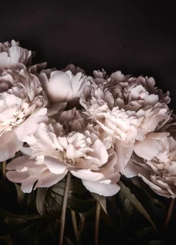 Best Posterboard SIGMA 2 Poster & Drucke|Kunstdrucke