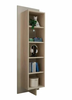 Best Regal ASSUME Regale|Regale