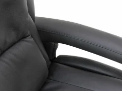 Relaxsessel SCHNEIBER Sessel|Fernseh- & Relaxsessel