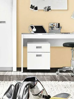 Sale Rollcontainer Alaska Container|Container