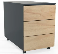 Clearance Rollcontainer DALOSA Container|Container