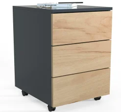 Clearance Rollcontainer DALOSA Container|Container