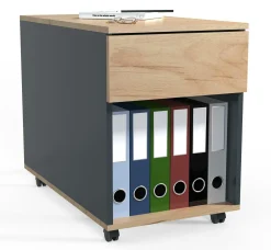 Clearance Rollcontainer DALOSA Container|Container