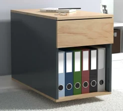 Clearance Rollcontainer DALOSA Container|Container