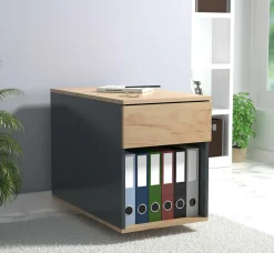 Clearance Rollcontainer DALOSA Container|Container