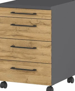 Online Rollcontainer PROFI 2.0 Container|Container