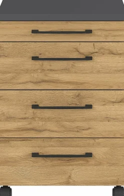 Online Rollcontainer PROFI 2.0 Container|Container