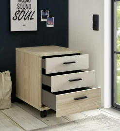 Rollcontainer ASSUME Container|Container