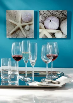 Outlet Rotweinglas DAILY Gläser