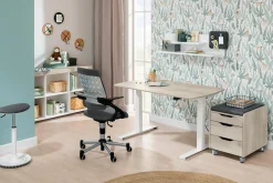 Schreibtisch E-LION Schreibtische|Höhenverstellbare Schreibtische