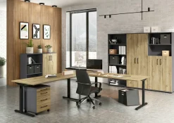 Outlet Schreibtisch PROFI 2.0 Schreibtische|Schreibtische