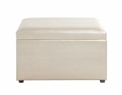 Outlet Sitztruhe Truhen & Bänke