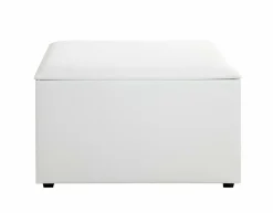 New Sitztruhe Truhen & Bänke