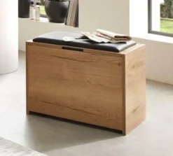 New Sitztruhe Sonstige