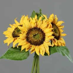 Discount Sonnenblumen-Bouquet gelb Pflanzen