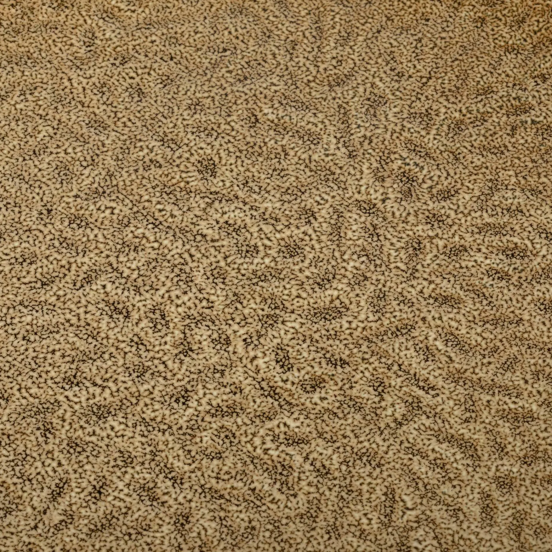 Clearance Speiseteller MATERA Geschirr