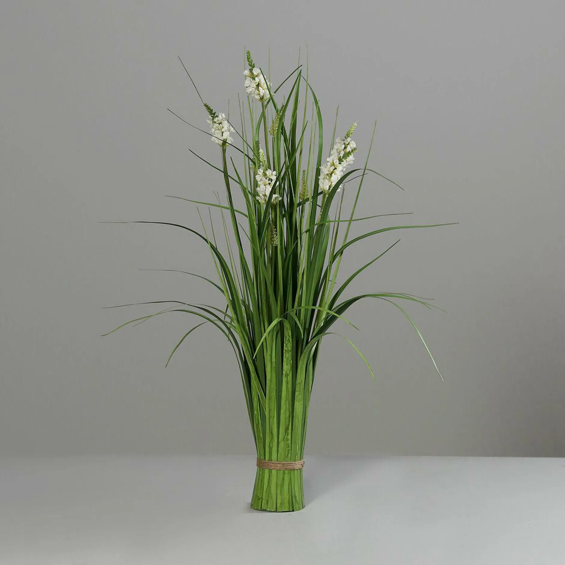 Outlet Stehgras grün Pflanzen