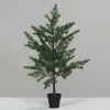 New Tannenbaum Weihnachtsbäume|Weihnachtsdekoration
