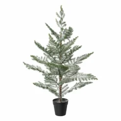 Tannenbaum Weihnachtsbäume