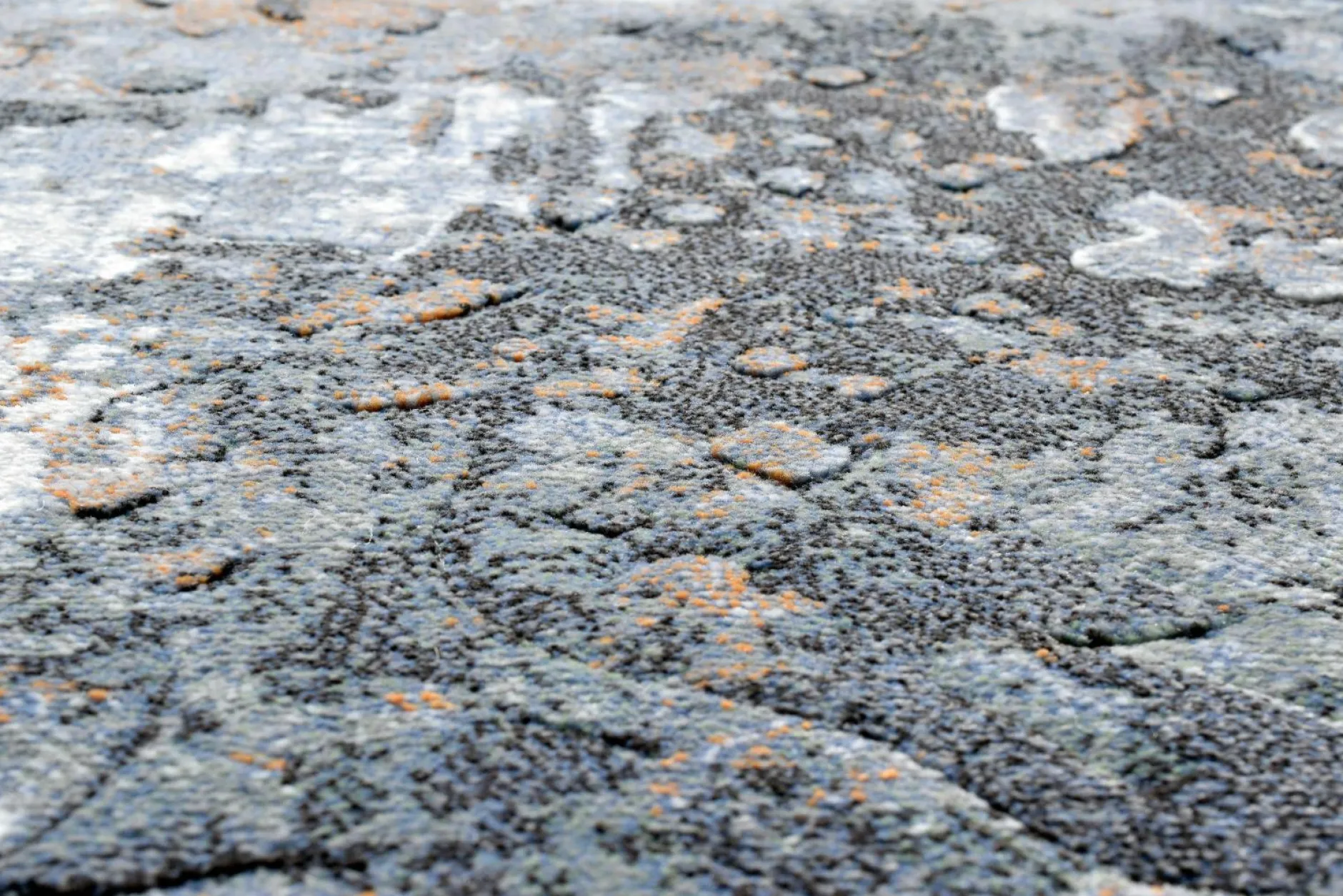 Clearance Teppich ARGENTUM Moderne Teppiche