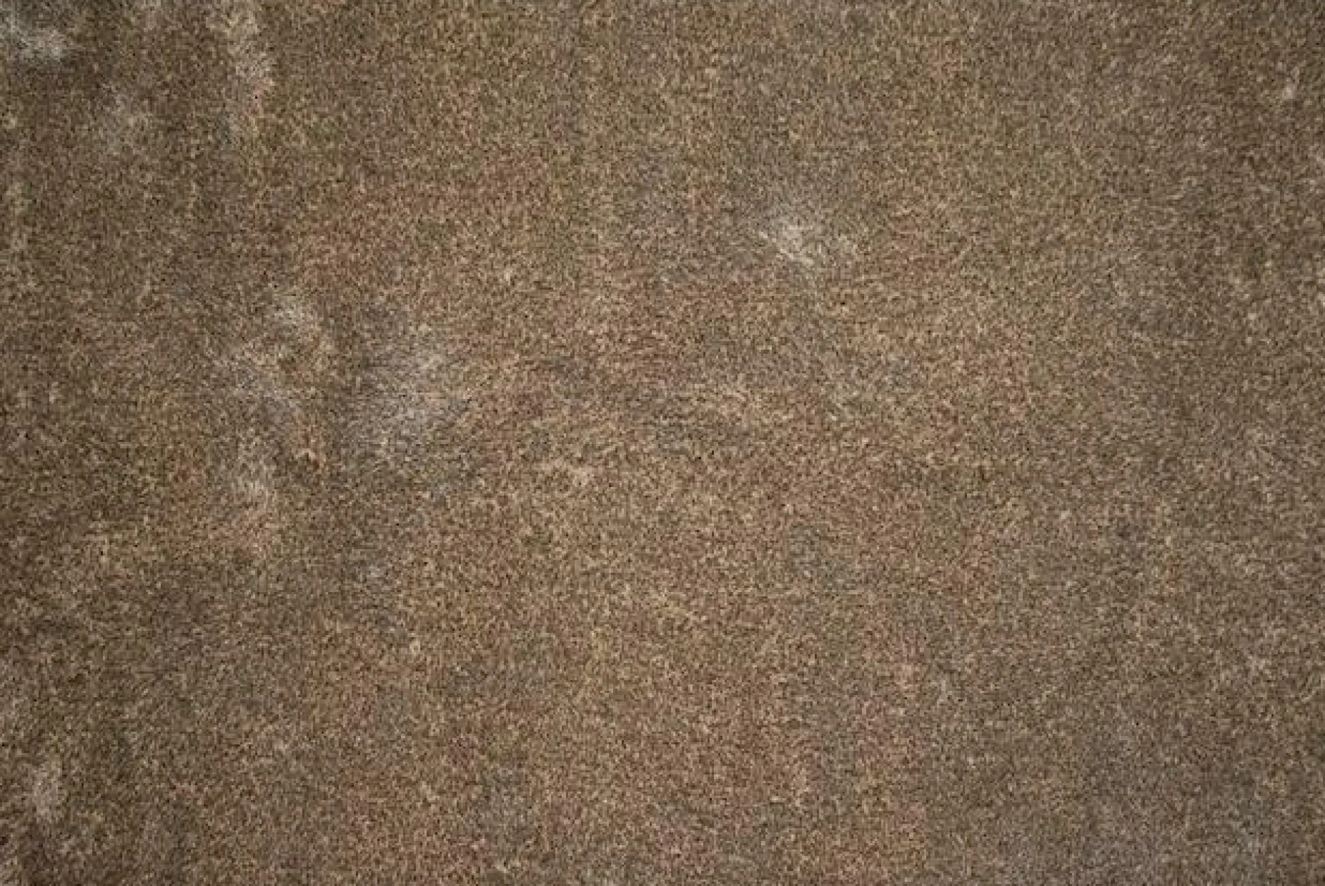 Hot Teppich FIRE mix beige Langflor Teppiche