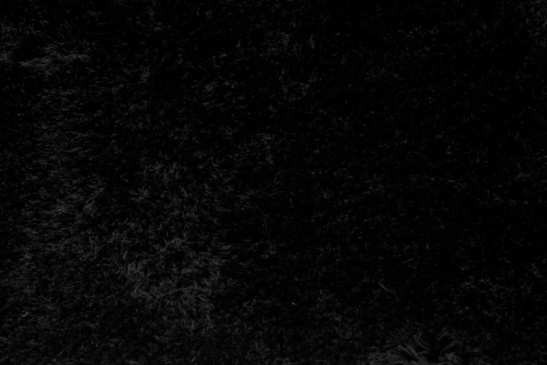 Best Teppich FIRE schwarz Langflor Teppiche