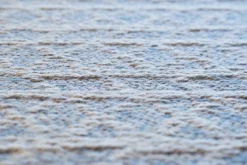 New Teppich HIGH LINE Wollteppiche