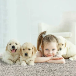 Online Teppich LOCA NEW Langflor Teppiche