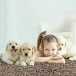 Outlet Teppich LOCA NEW Langflor Teppiche